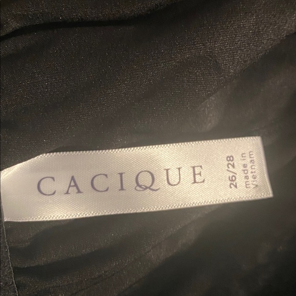 Cacique collection lingerie size 26/28 NWT - Picture 8 of 12
